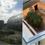 56-year-old woman dies after falling from height at