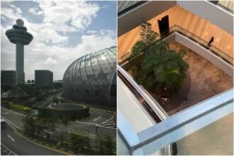 56-year-old woman dies after falling from height at